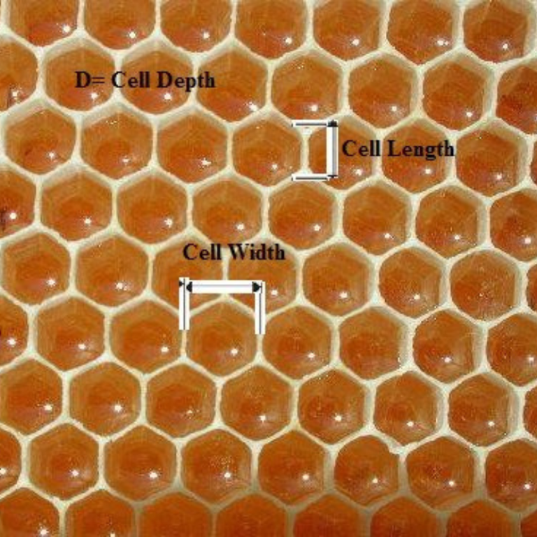 Measuring Honey Comb