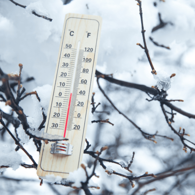 Winter Thermometer