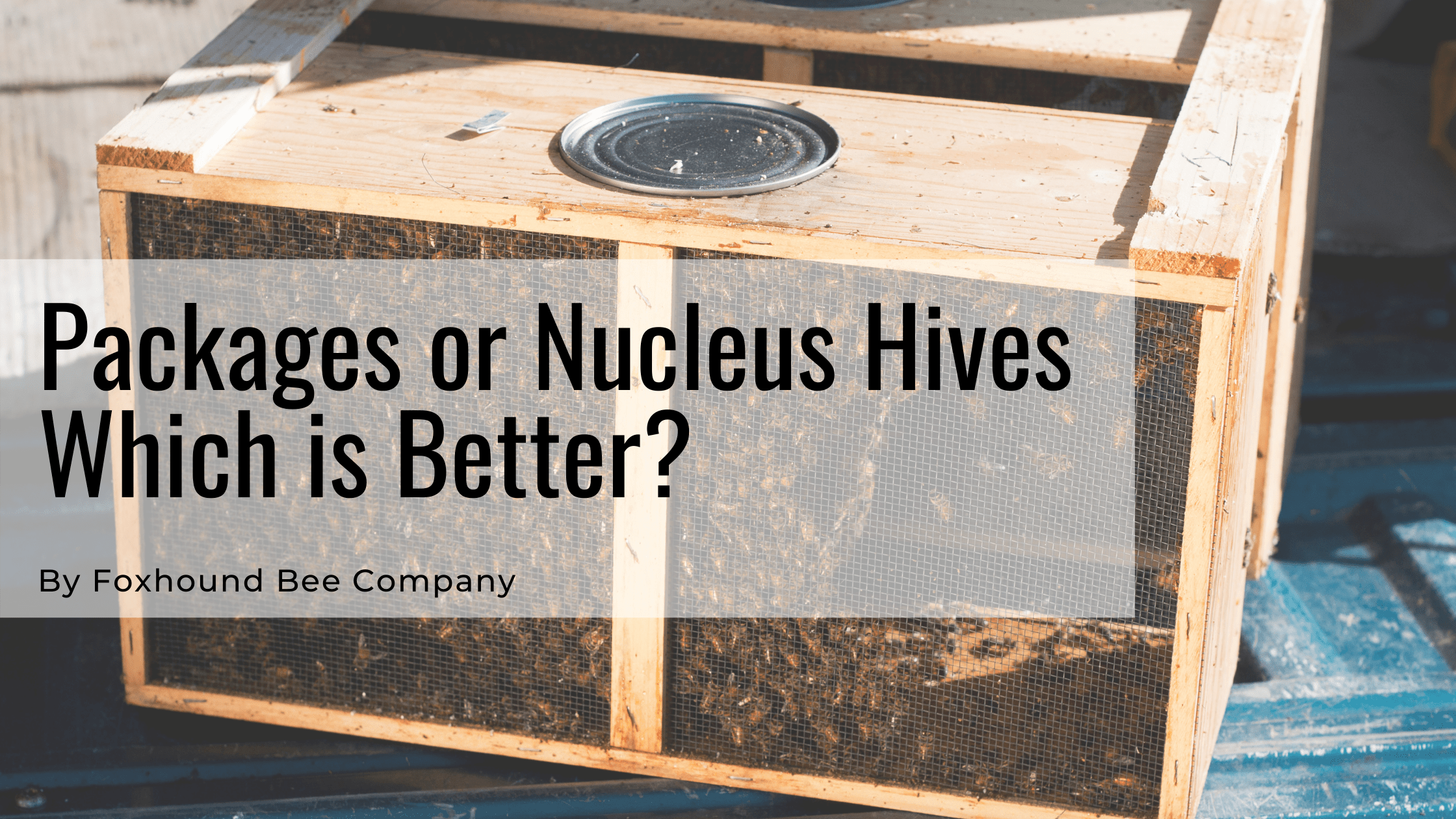 Packages or Nucleus Hives, Which is Better? Foxhound Bee Co