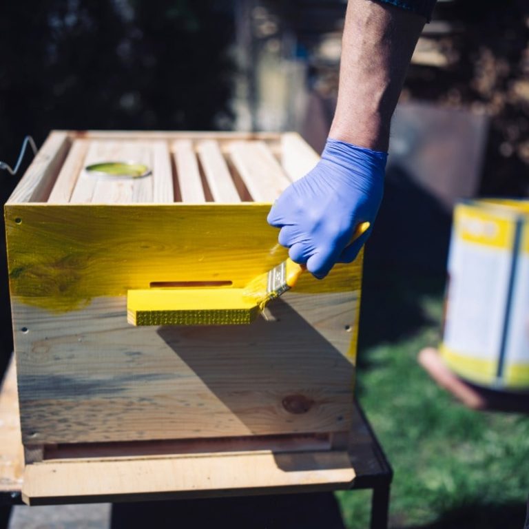 Painting Bee Hives