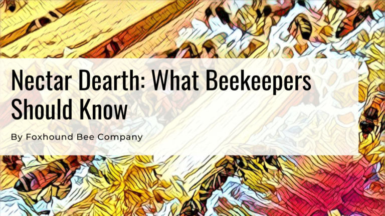 Nectar Dearth_ What Beekeepers Should Know