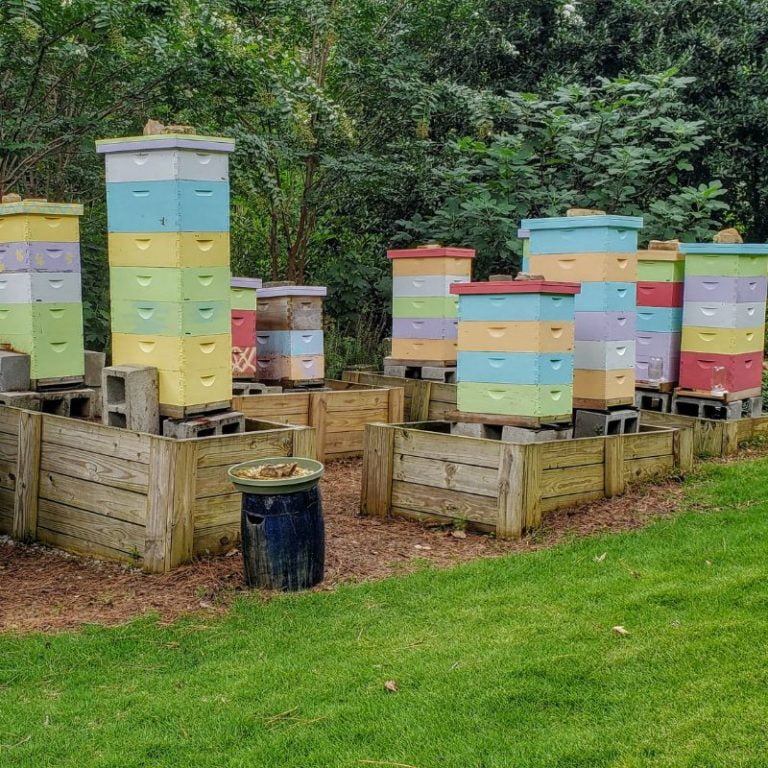 Store Equipment On The Hive