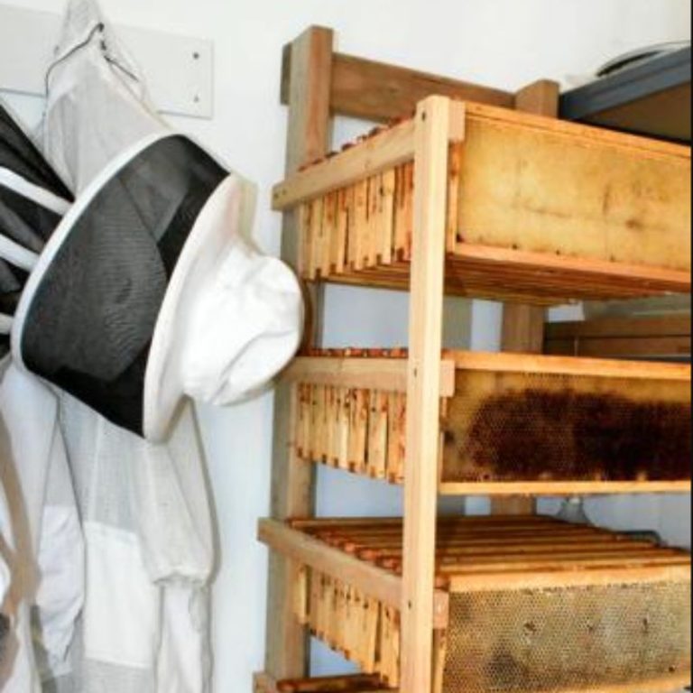 Storage Rack For Frames Winter Bees