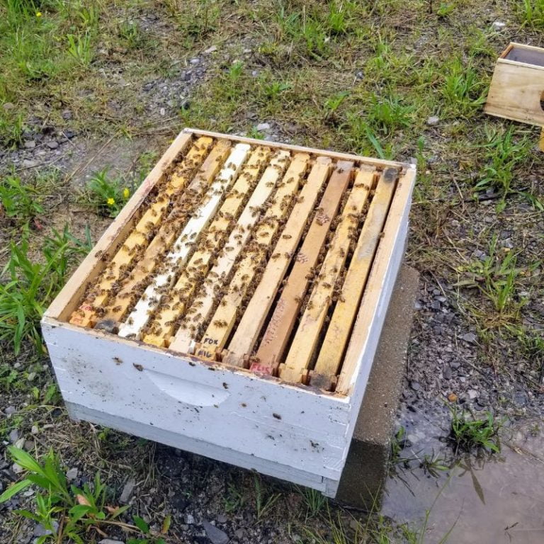Consolidate hive into one box