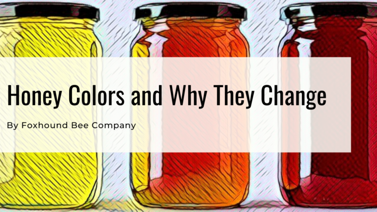 Honey Colors and Why They Change
