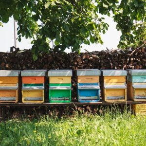 row of colorful beehives