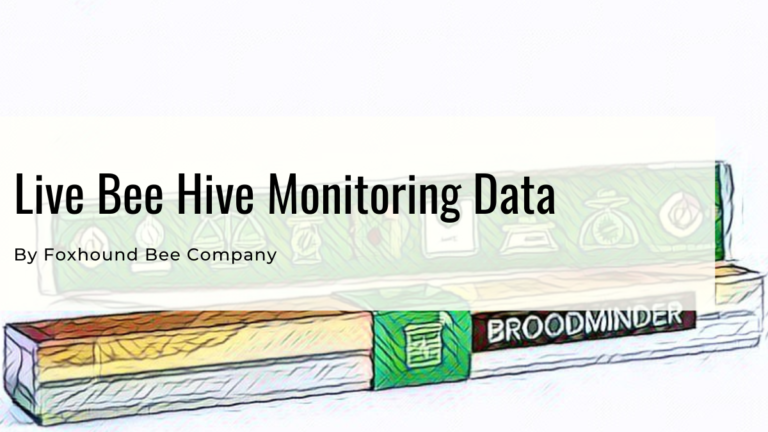 Live Bee Hive Monitoring Data