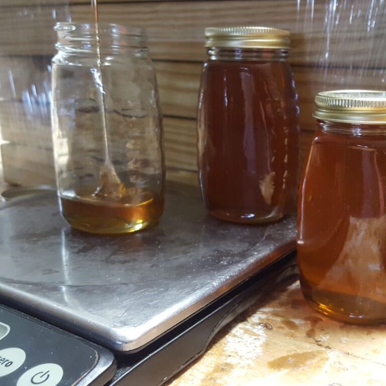 Filling Glass Jars of honey on a scale