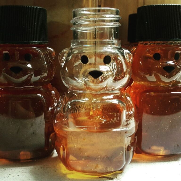 filling baby bears of honey