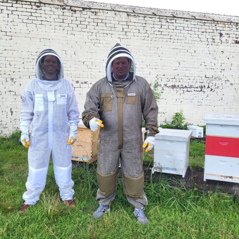Beekeeping Suit Colors