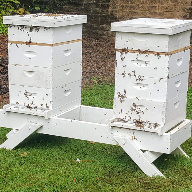 Hives on folding hive stand