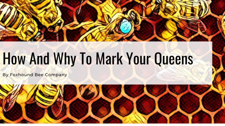 How and Why To Mark Your Queens