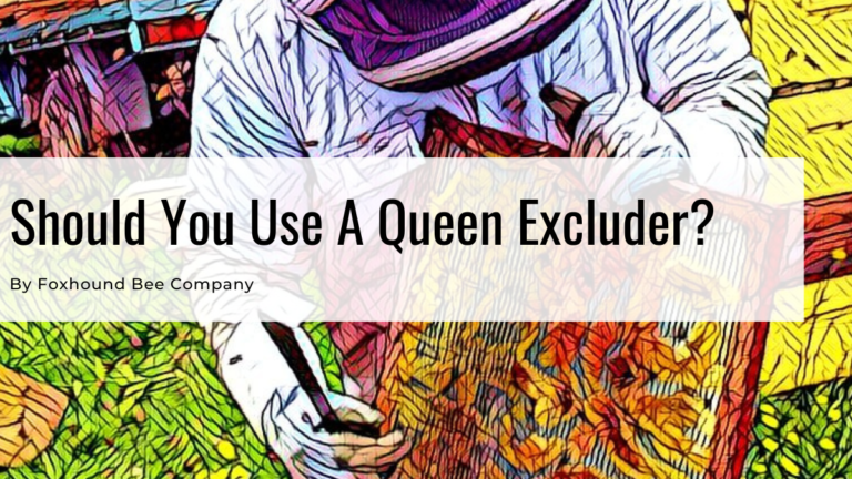Should You Use A Queen Exclurder