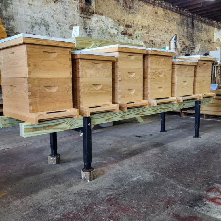Beekeeping Kits Deep and Medium