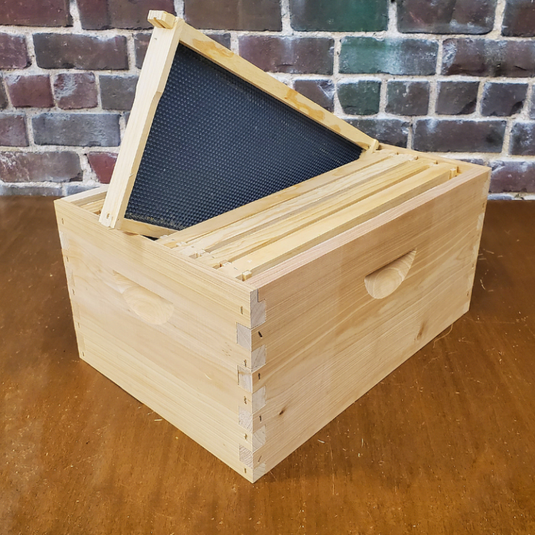 Bee Frame with Plastic Foundation
