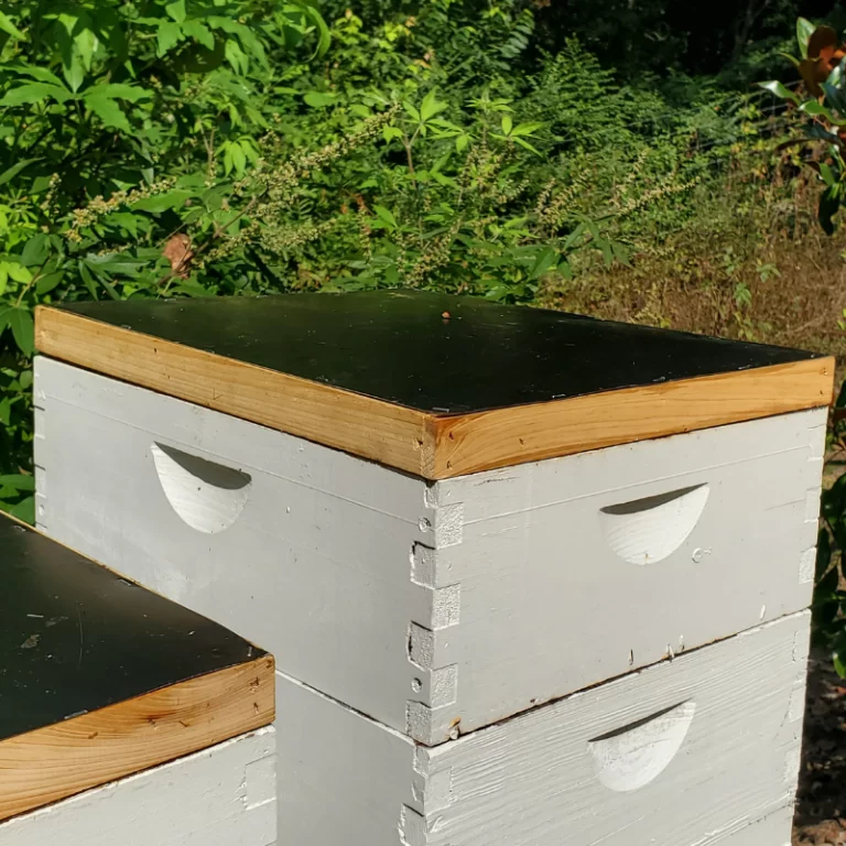 fume-boards-on-hives
