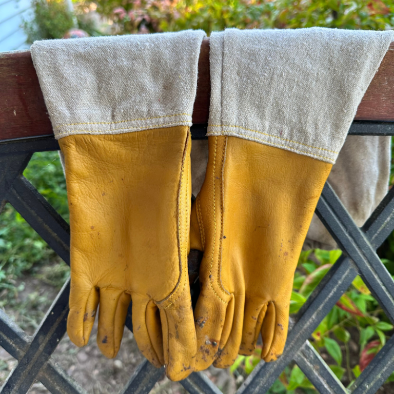 Drying gloves