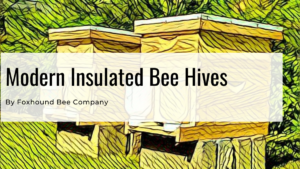 Modern Insulated Bee Hive