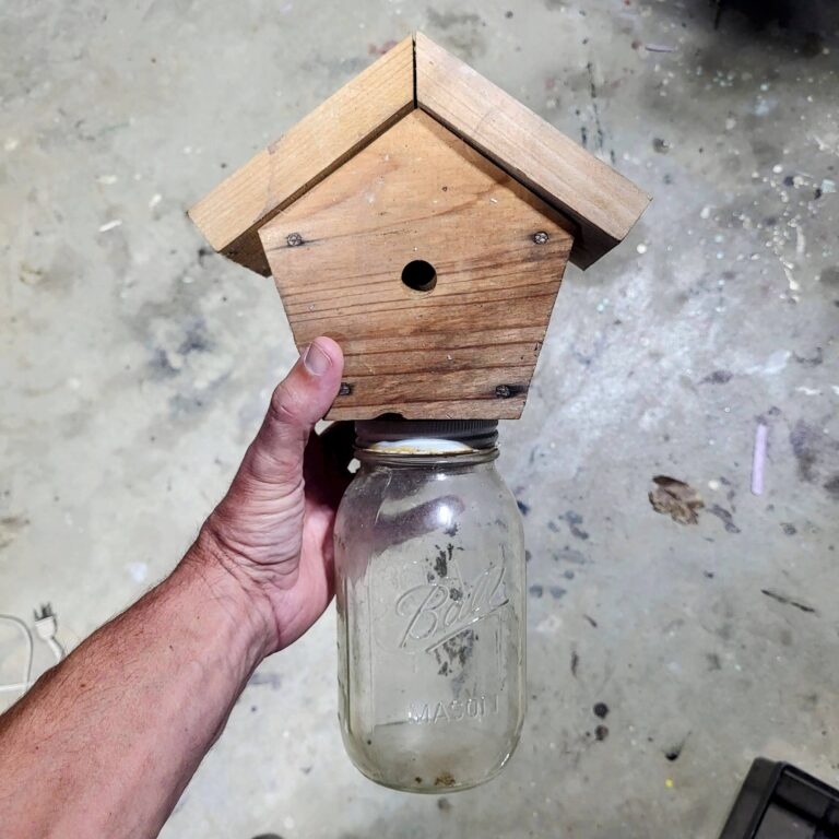 Carpenter Bee Trap