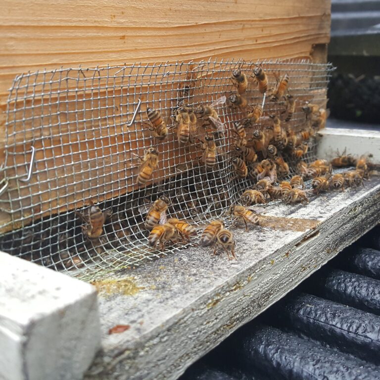 Securing a Beehive