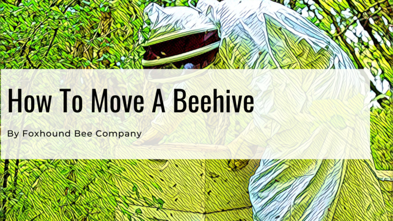 Moving Your Beehives