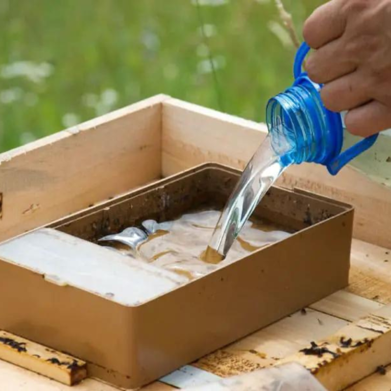 Providing water for bees
